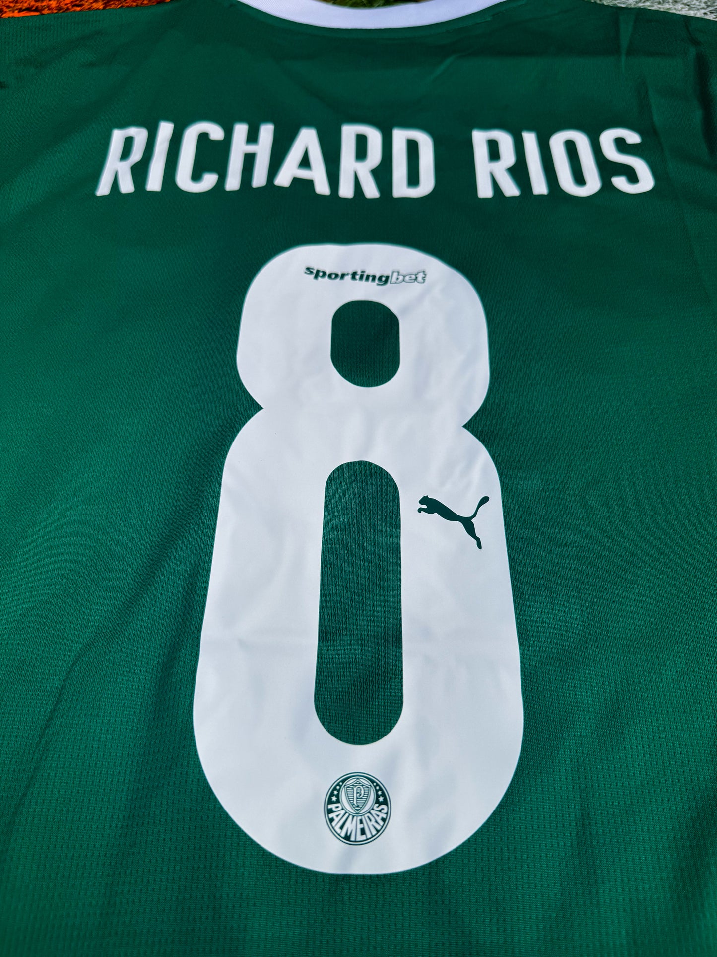 Palmeiras 2025/2026 Home Jersey – Classic Green Brasileiro Kit