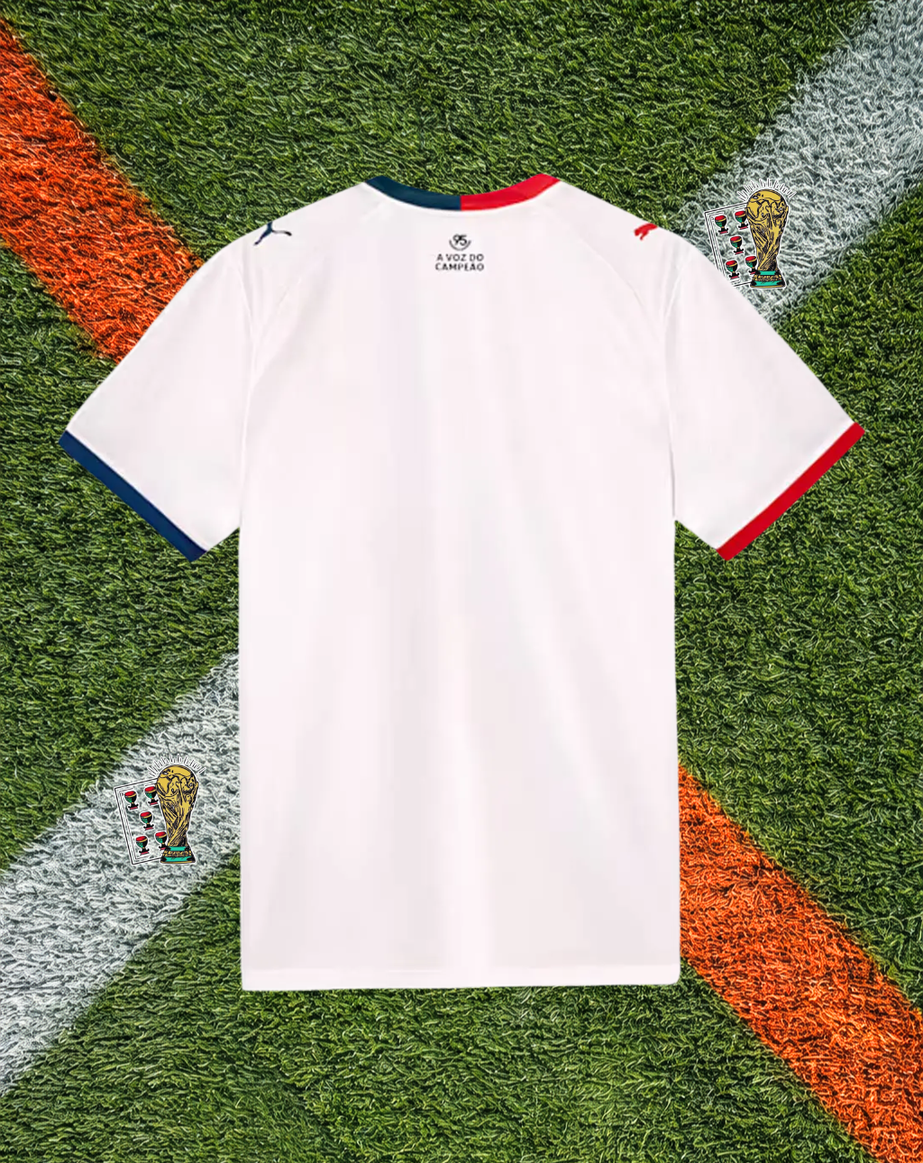 Bahia 2023-24 Home Jersey – Voz do Campeao Edition