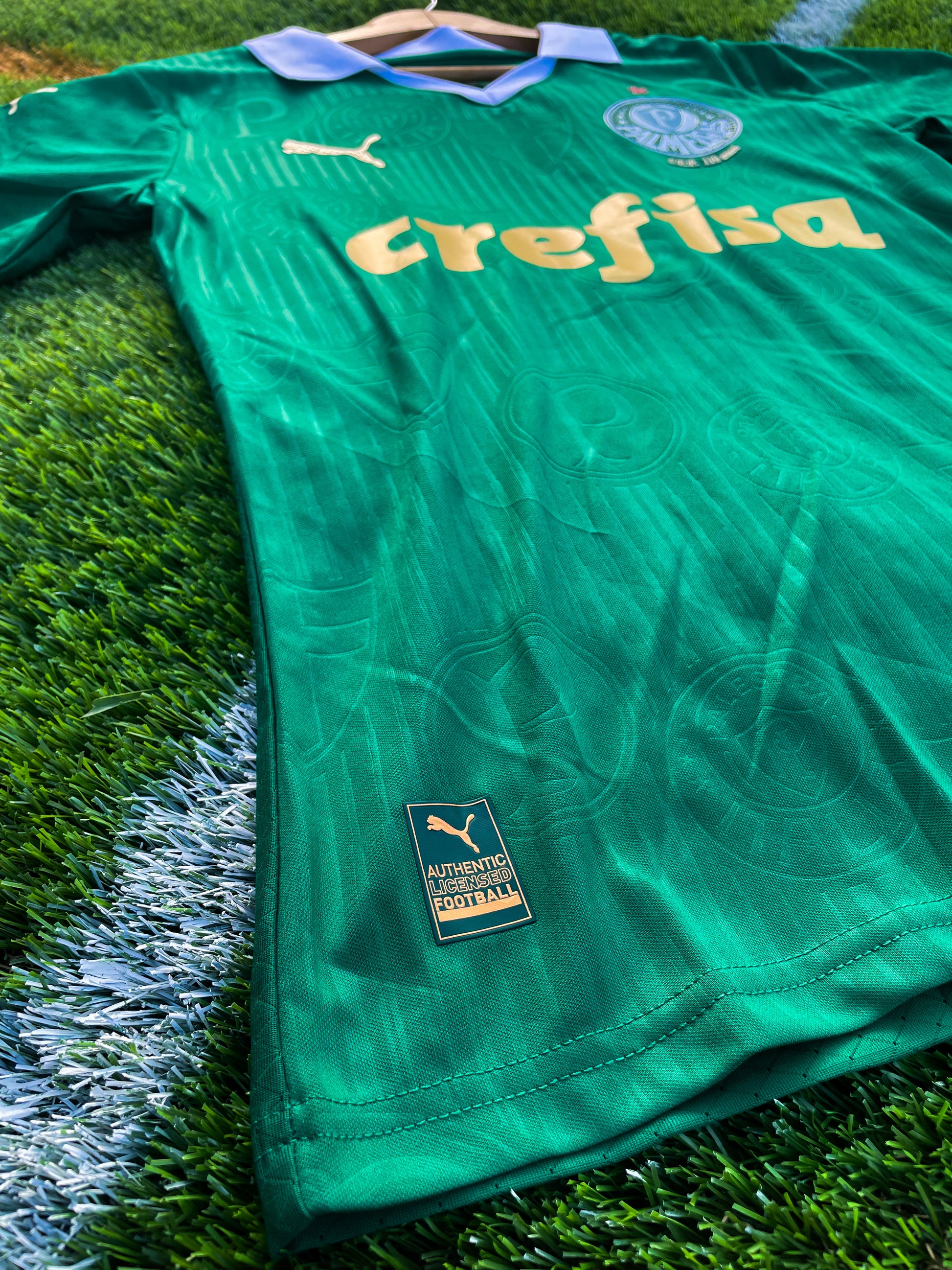 Close-up of Palmeiras crest and Puma logo detailing

