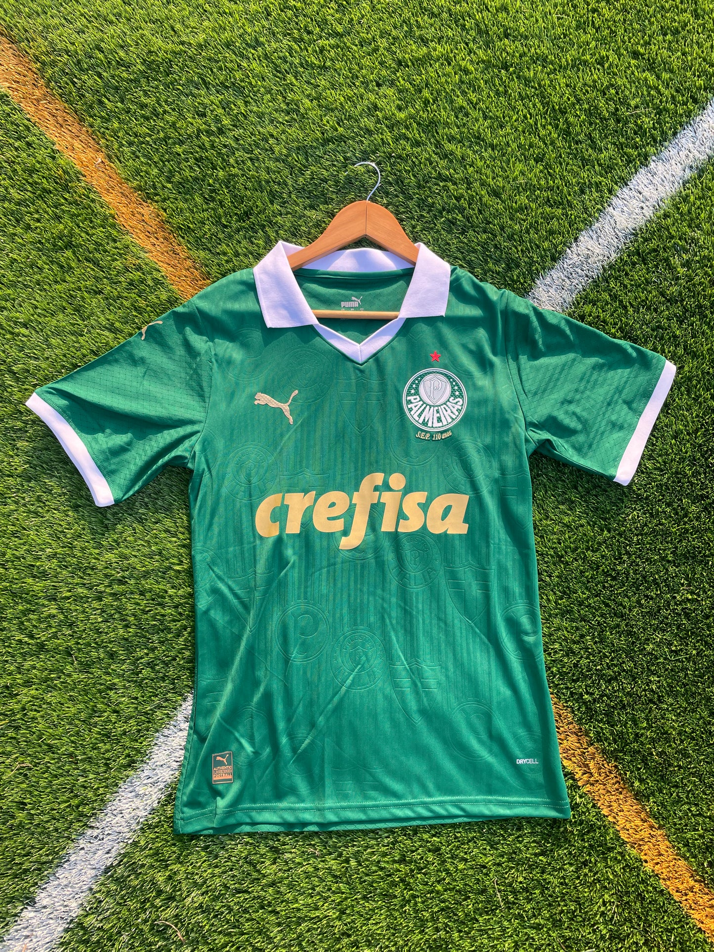 Front View of Palmeiras crest and Puma logo detailing
