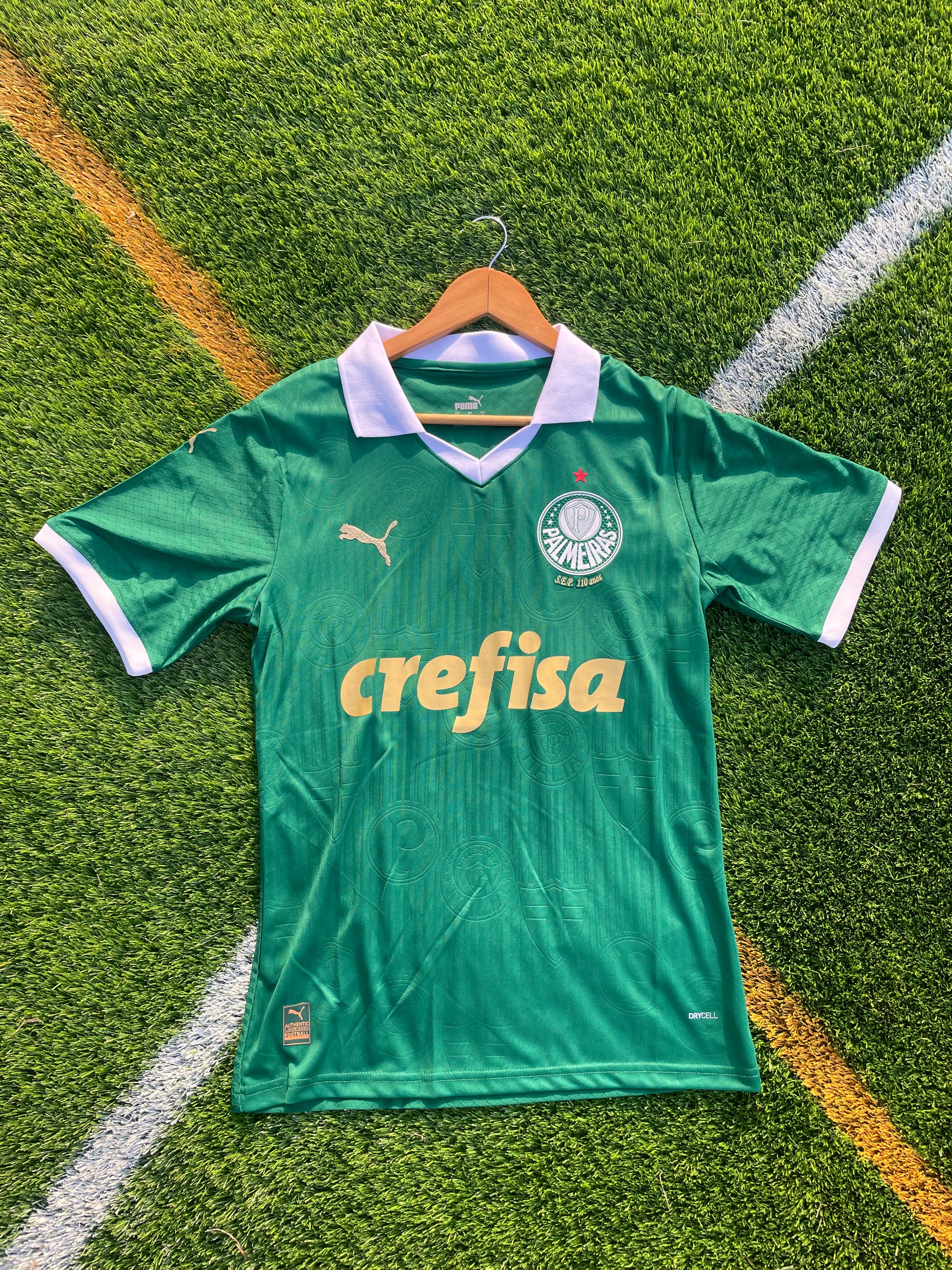 Front View of Palmeiras crest and Puma logo detailing
