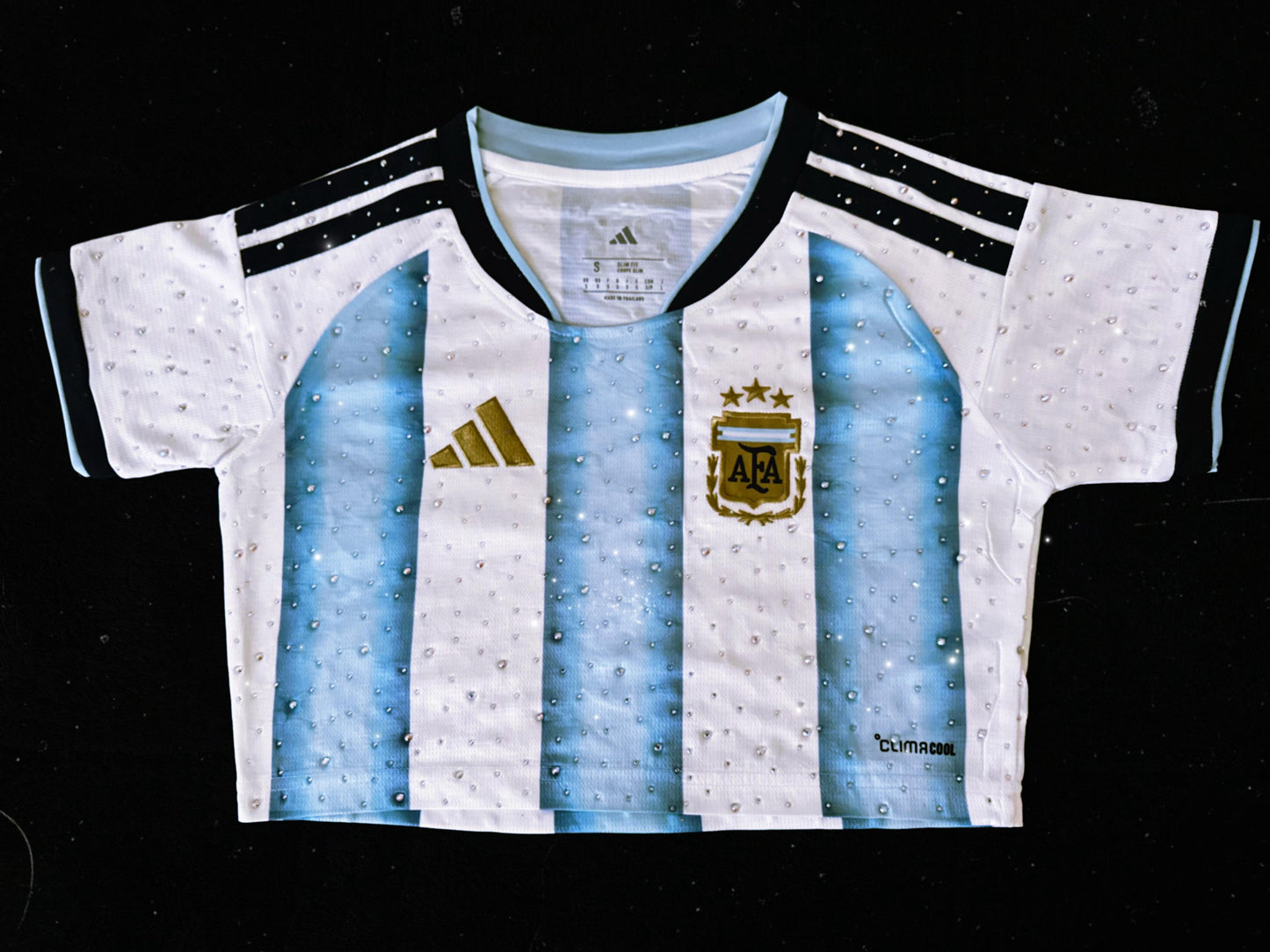 Argentina 2026 Home Crop Top  Cristales para Damas- World Cup 2026-Messi 10 – Cubiertas de brillos con cristales en toda la prenda. (Copy)