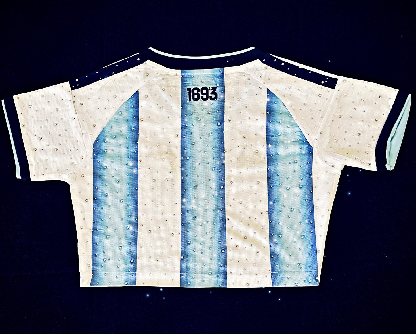 Argentina 2026 Home Crop Top  Cristales para Damas- World Cup 2026-Messi 10 – Cubiertas de brillos con cristales en toda la prenda. (Copy)