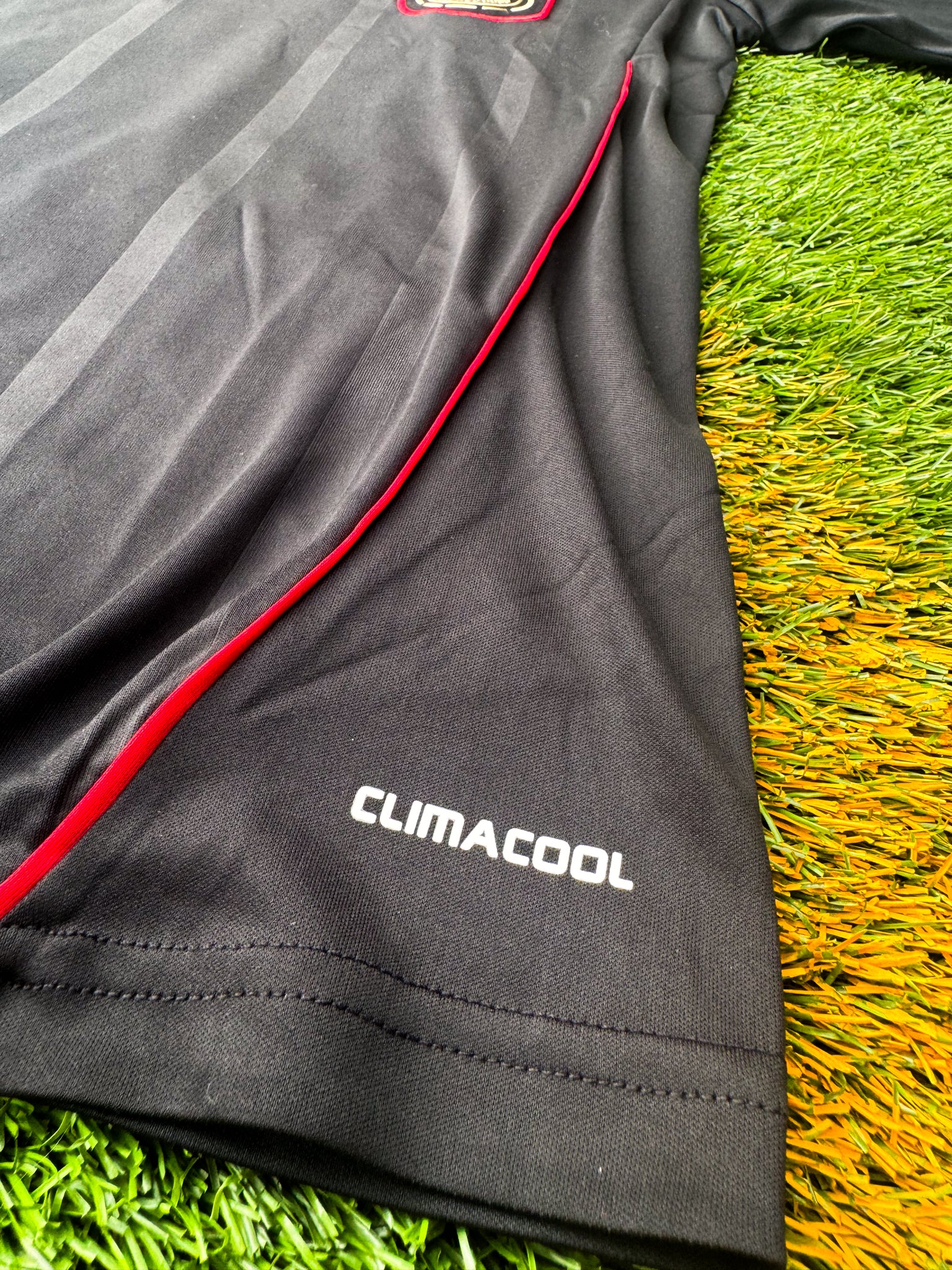Close-up of Adidas logo and DFB crest

