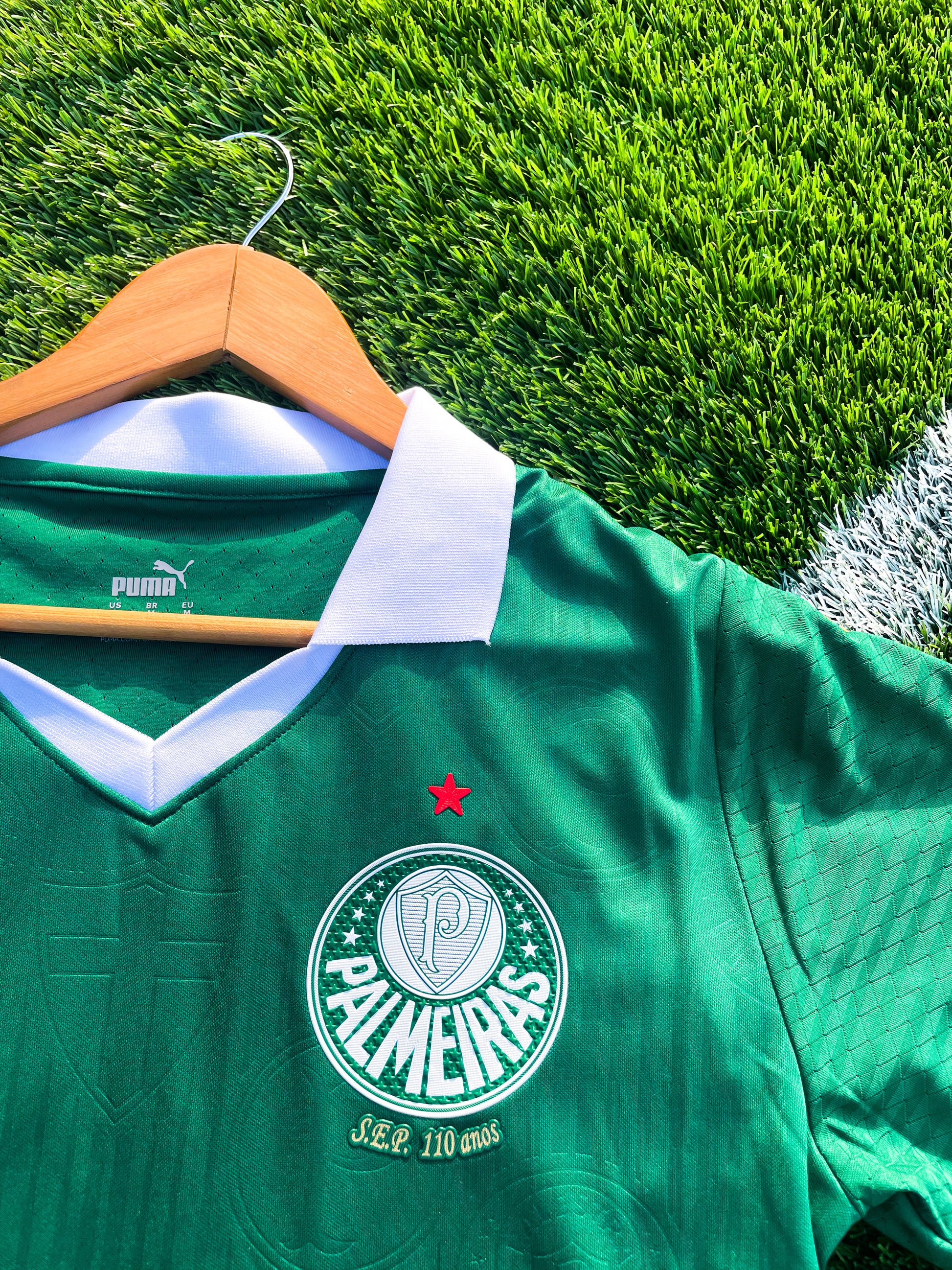 Close-up of Palmeiras crest and Puma logo detailing

