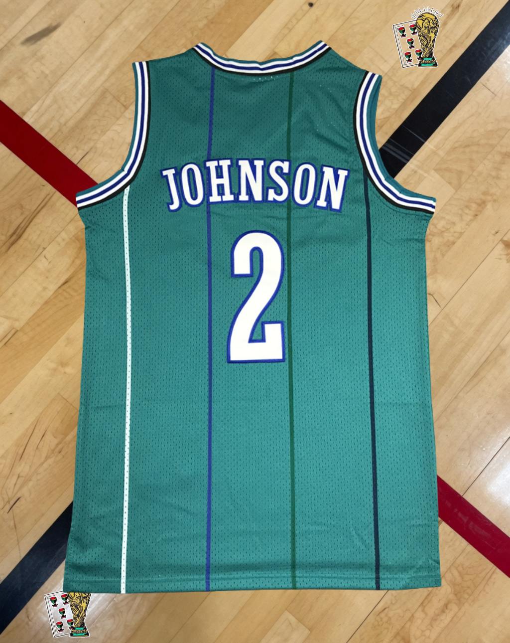 Charlotte Hornets 1992-93 Home Jersey – Johnson Edition